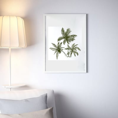 صورة لوحة جدارية نخله  برواز, أبيض,‎‎50x70 سم