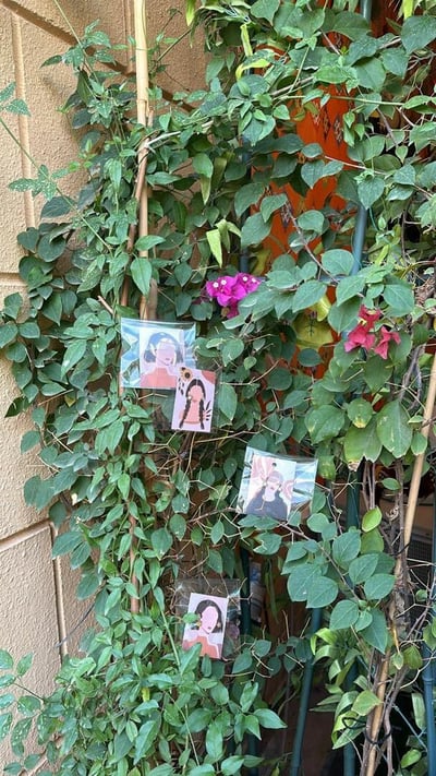 صورة توزيعات 5 حلق