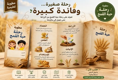 صورة مطوية رحلة حبة القمح