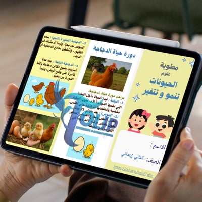 صورة مطوية ( دورة حياة االدجاجة  )  علوم الصف الثاني إبتدائي  الفصل الدراسي  الأول   درس الحيوانات تنمو وتتغير