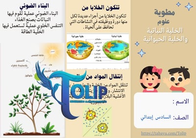 صورة مطوية الخلية  النباتية والحيوانية الصف السادس الابتدائي علوم الفصل الدراسي الاول 