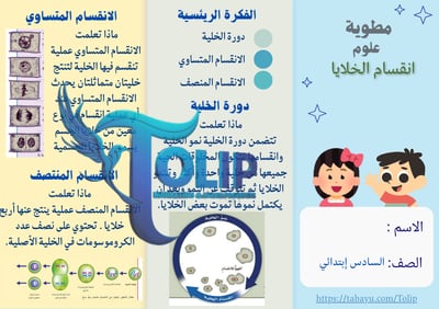 صورة مطوية انقسام الخلايا الصف السادس الابتدائي علوم الفصل الدراسي الاول 