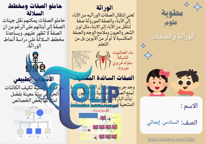 صورة مطوية الوراثة والصفات  الصف السادس الابتدائي علوم الفصل الدراسي الاول 