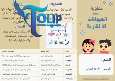صورة مطوية الحيوانات الافقارية الصف الرابع الابتدائي علوم الفصل الدراسي الاول 