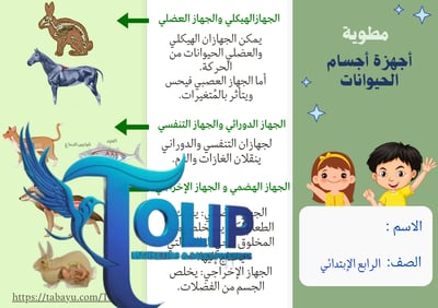 صورة مطوية أجهزة أجسام الحيوانات  الصف الرابع الابتدائي علوم الفصل الدراسي الاول 