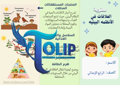 صورة مطوية العلاقات في الأنظمة البيئية   الصف الرابع الابتدائي علوم الفصل الدراسي الاول 