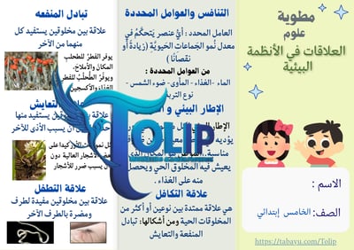 صورة مطوية العلاقات في الأنظمة البيئية  الصف الخامس الابتدائي علوم الفصل الدراسي الاول 