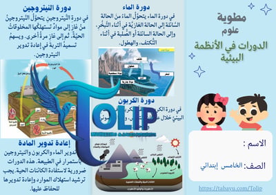 صورة مطوية الدورات في الأنظمة البيئية  الصف الخامس الابتدائي علوم الفصل الدراسي الاول 