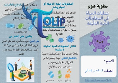 صورة مطوية عمليات الحياة في المخلوقات الحية الدقيقة   الصف السادس الابتدائي علوم الفصل الدراسي الاول 📢