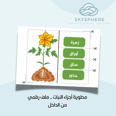 صورة مطوية أجزاء النبات 