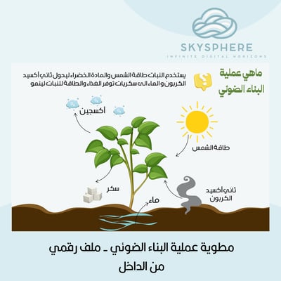 صورة مطوية عملية البناء الضوئي 