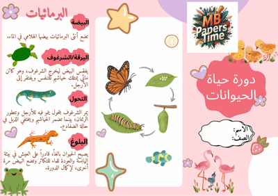 صورة مطوية دورة حياة الحيوانات