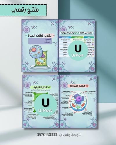 صورة مطوية( الخلايا: لبنات الحياة ) (علوم أول متوسط - الترم الثاني)