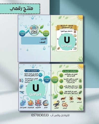 صورة مطوية( الحيوانات اللافقارية ) (علوم أول متوسط - الترم الثاني)