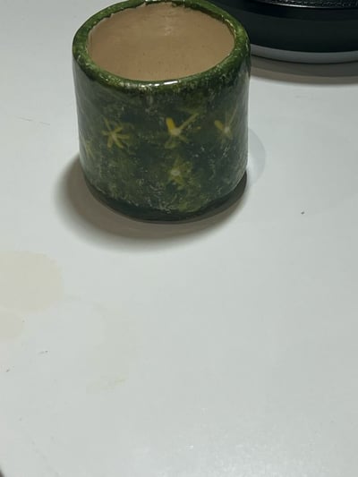 صورة كوب عشبي💚 بالورود الصفراء 