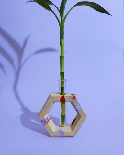 صورة  فازة سداسية مع ساق بامبو - Hexa see me through Vase