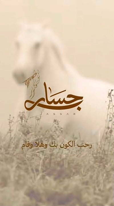 صورة دعوة بيبي جسار