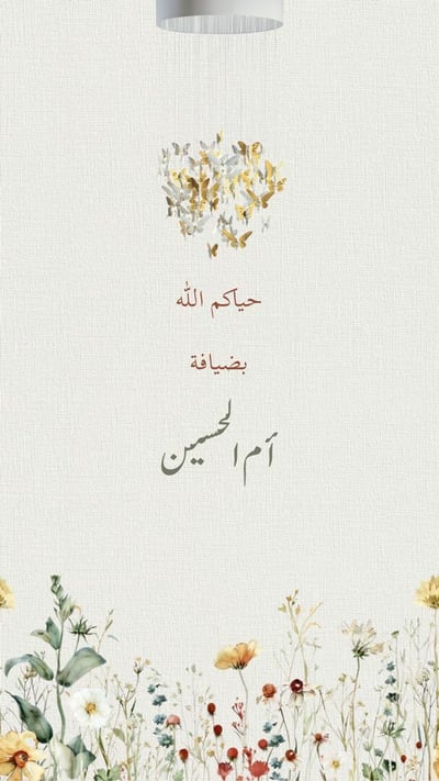 صورة فيديو شاشة العرض